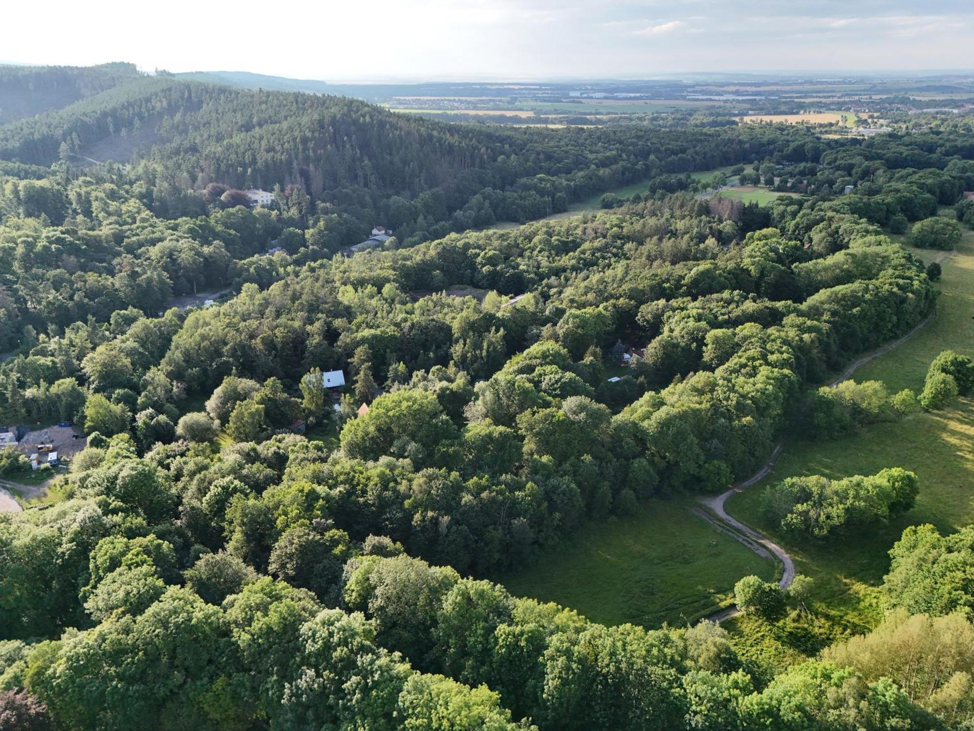 Ferienwohnung Im Logierhaus Villa Ihler Luisenthal Eksteriør bilde